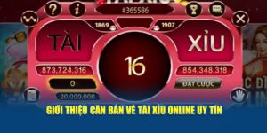 Giới thiệu căn bản về tài xỉu online uy tín