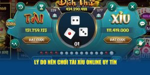 Lý do nên chơi tài xỉu online xanh chín